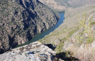 presentacion del vino.JPG